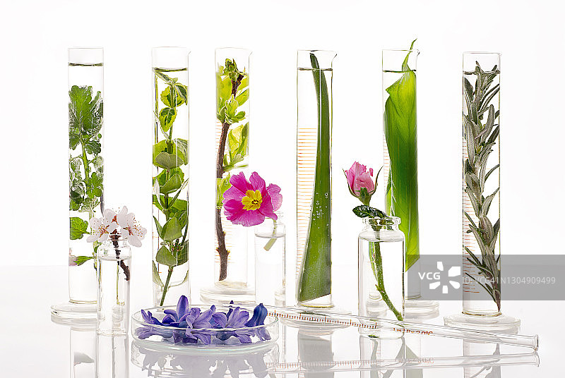 天然草本化妆品实验室图片素材