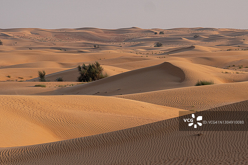 阿联酋迪拜附近阿拉伯沙漠的沙丘图片素材
