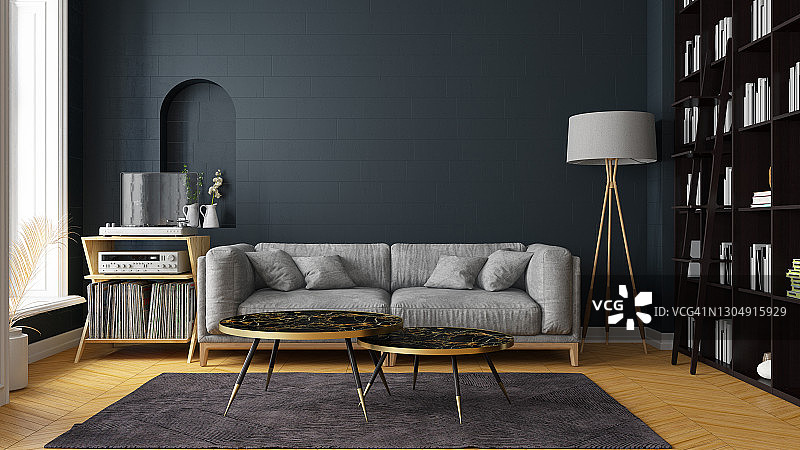 带沙发和图书馆的温馨客厅内饰图片素材