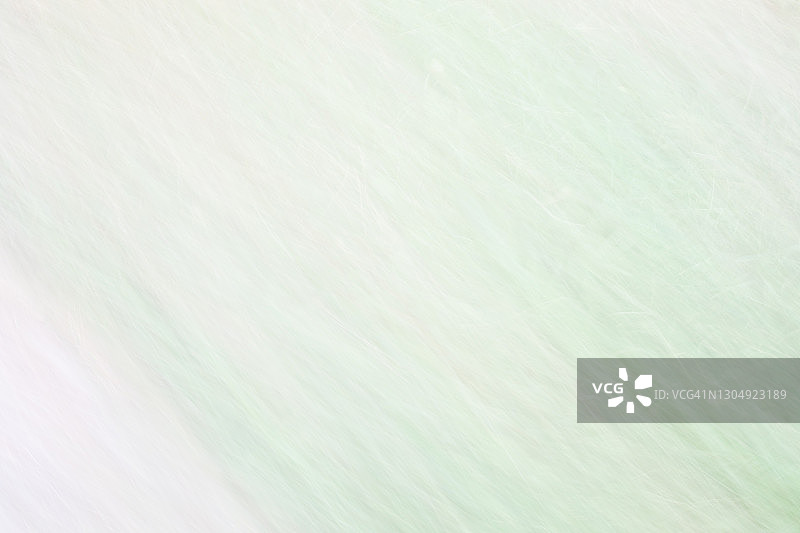 带复制空间的抽象绿色背景图片素材