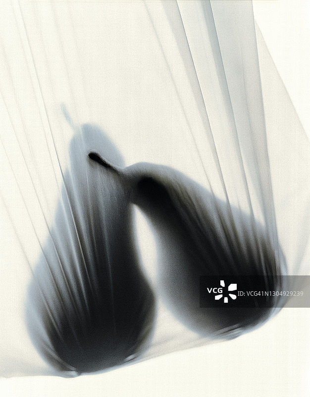 塑料购物袋里的两个梨图片素材