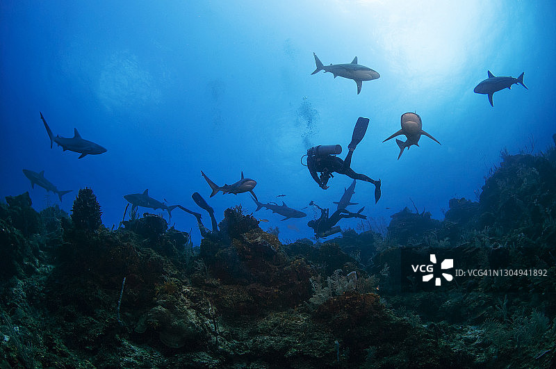 水肺潜水员剪影图片素材