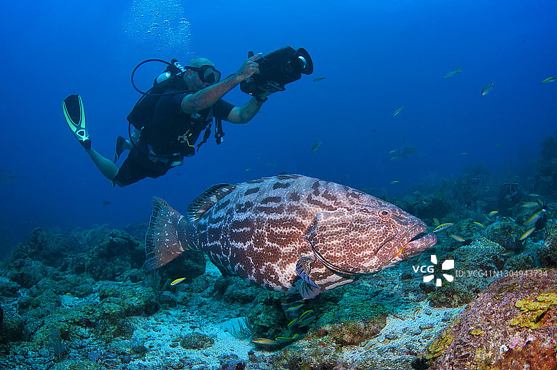 水下摄像师拍摄图片素材