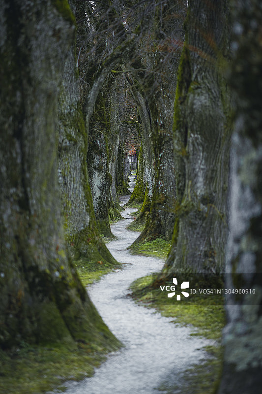 霍尔茨基兴的施泰因德尔大街秋景图片素材