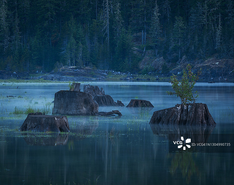 斯特拉斯科纳公园布特尔湖图片素材