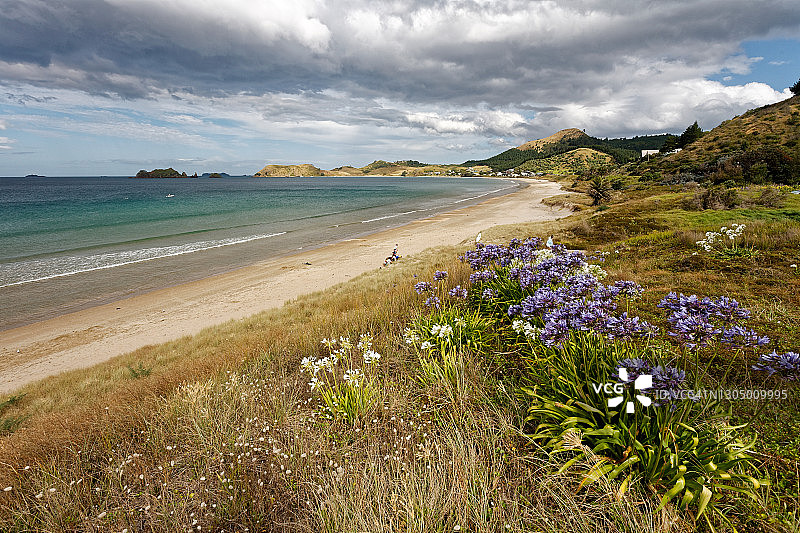 奥皮托海滩图片素材