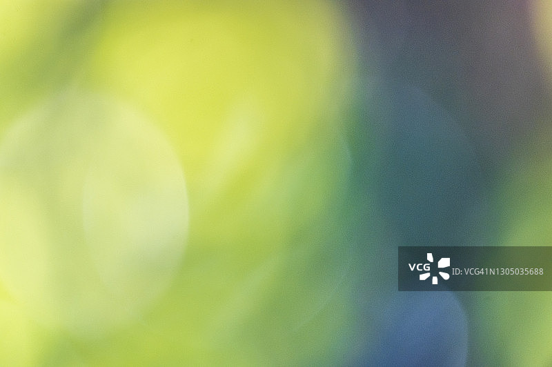 散景森林树叶色彩抽象图片素材