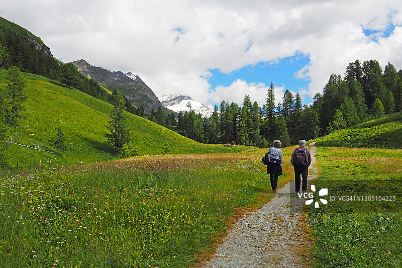 在恩嘎丁费克斯山谷徒步旅行的老年夫妇图片素材