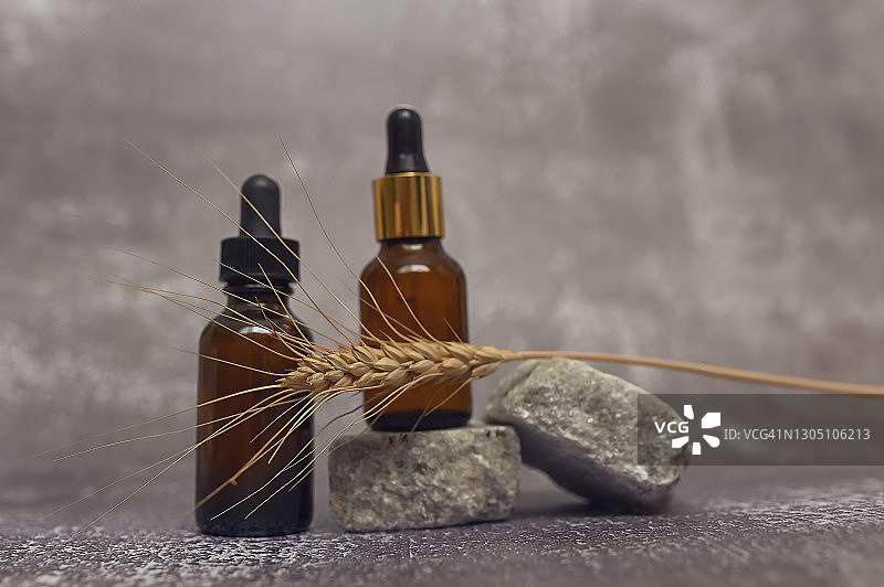用于面部的双血清玻璃容器立于石上，灰色背景前是麦穗。天然面部护理化妆品概念。正面视图图片素材