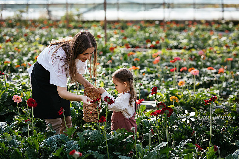 快乐的小女孩和她的母亲在植物苗圃里照顾花朵图片素材