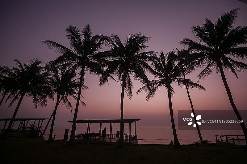 棕榈树剪影图片素材