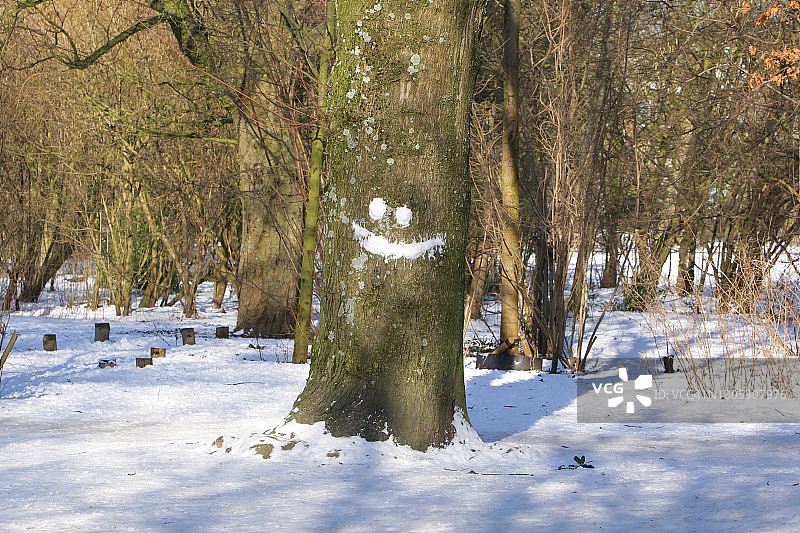荷兰阿姆斯特丹的阳光冬季图片素材
