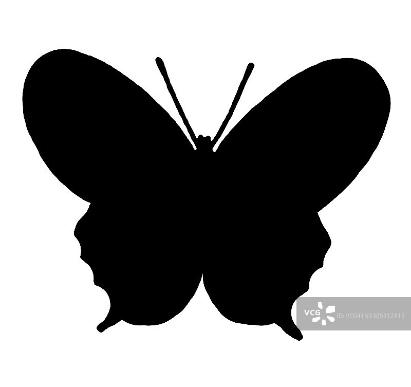 蝴蝶轮廓，地图蛱蝶图片素材