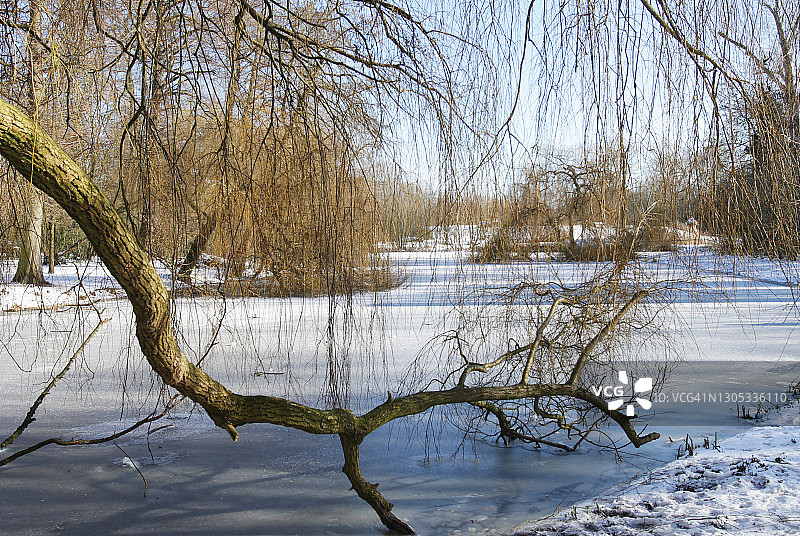 荷兰阿姆斯特丹的阳光冬季图片素材