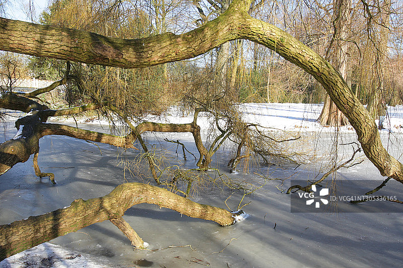 荷兰阿姆斯特丹的阳光冬季图片素材