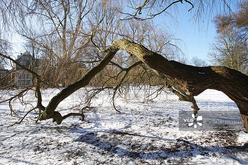 荷兰阿姆斯特丹的阳光冬季图片素材