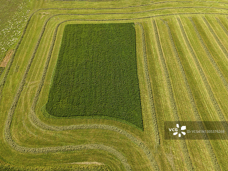 农业艺术作品图片素材