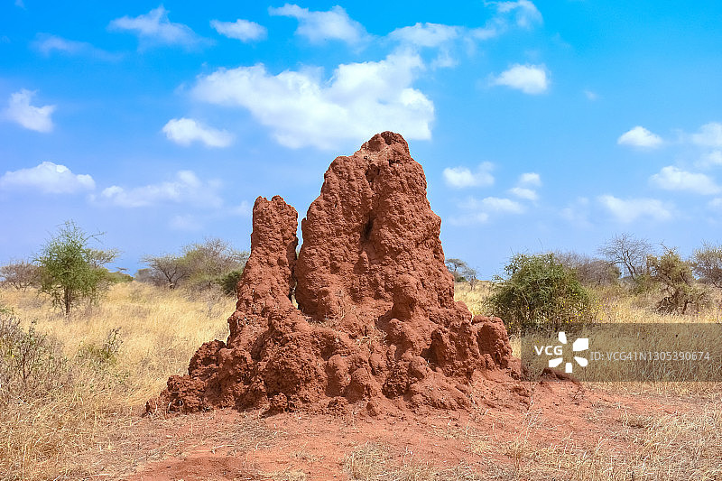肯尼亚察沃国家公园的白蚁丘图片素材