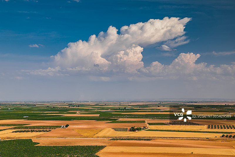 西班牙托莱多阳光明媚的葡萄园图片素材
