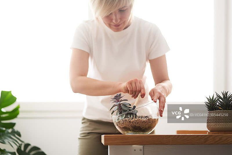 年轻女子种植多肉植物图片素材