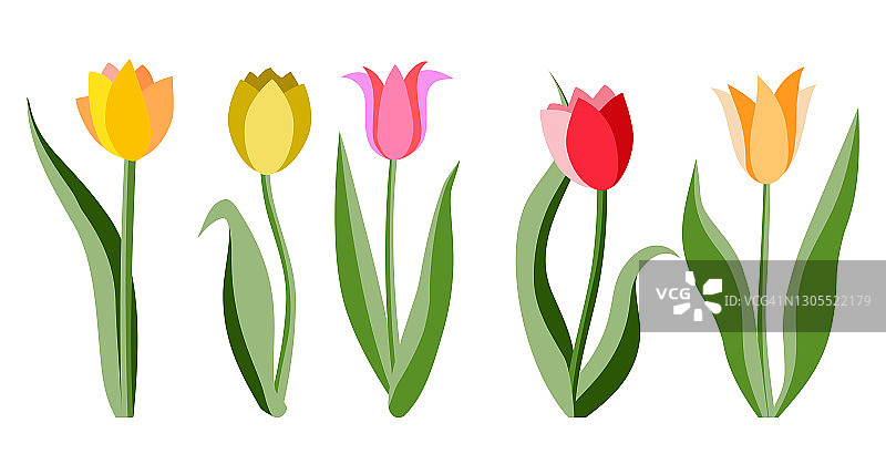 郁金香花束图案矢量图图片素材