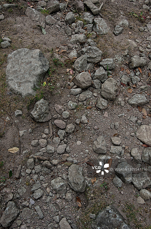 墨西哥Desierto de los Leones国家公园的岩石泥路图片素材