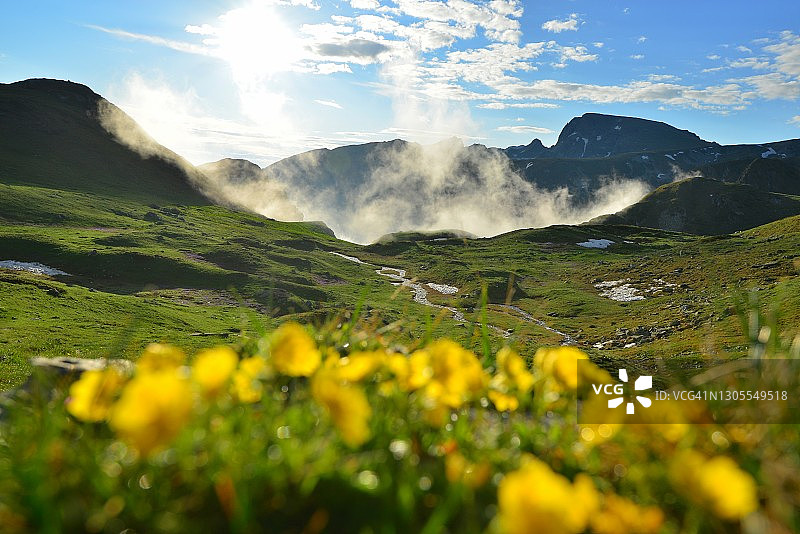 山间黄色花卉草地图片素材