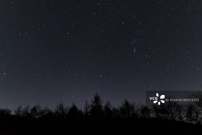 暗黑森林上空的冬日星辰图片素材