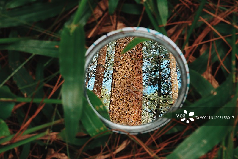 袖珍镜中反射的松树图片素材