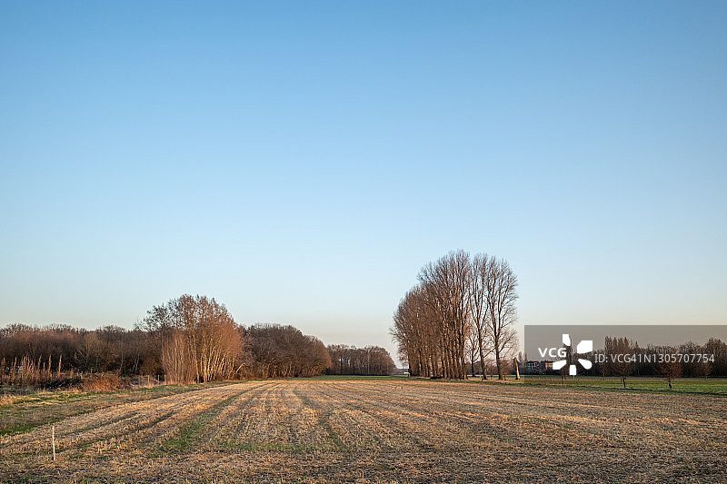 犁耕后空旷农田的室外晴朗景观，蓝天下树木背景图片素材