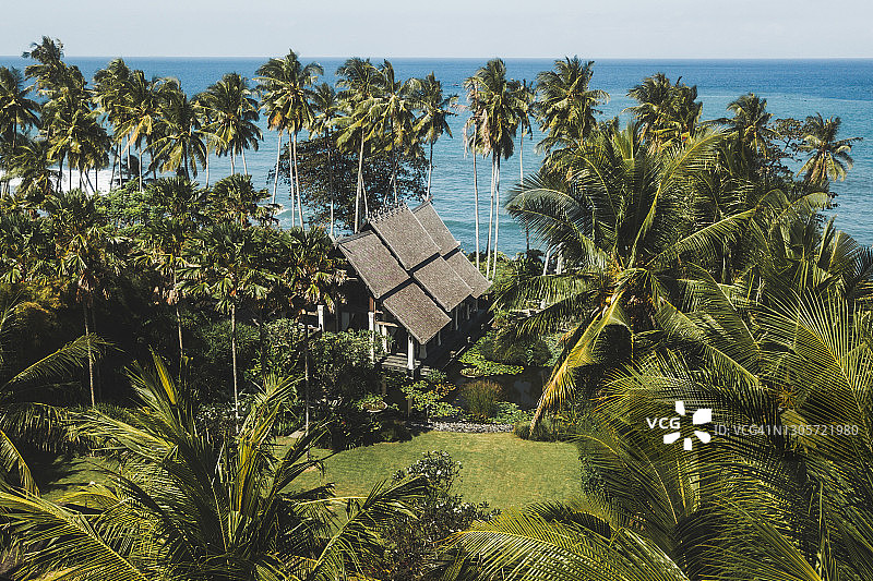 棕榈树掩映的豪华海滨别墅无人机航拍图片素材