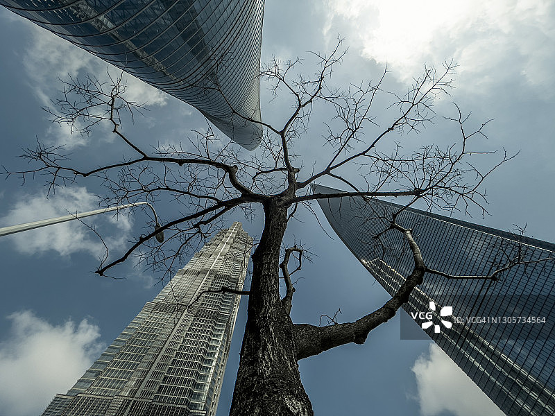 阳光明媚的上海金融区仰视角度图片素材