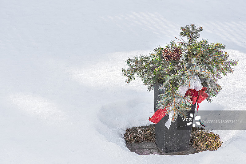 户外冬季花盆图片素材