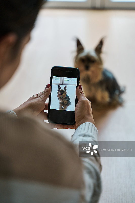 女人用手机给她的狗拍照图片素材