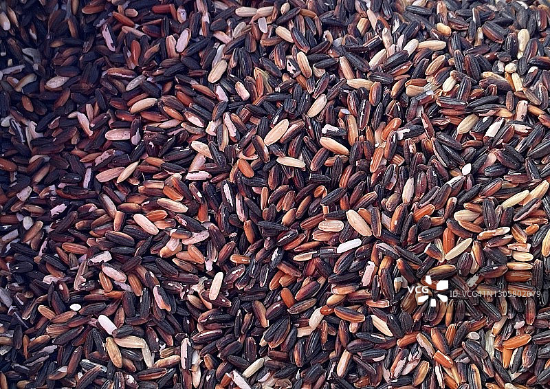 稻米背景特写图片素材