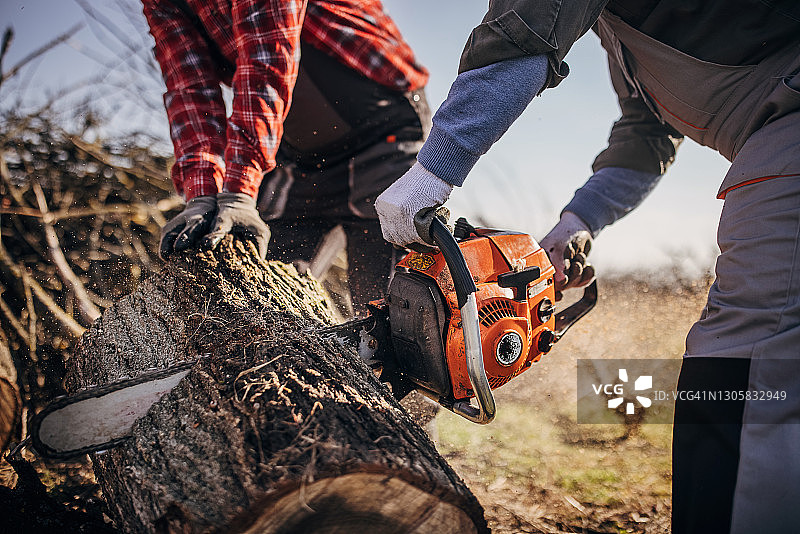 用油锯切割木头的男人图片素材