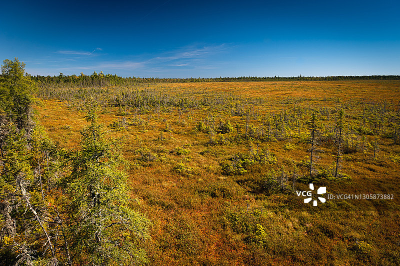 加拿大库奇布瓜克国家公园大型沼泽地的秋色图片素材