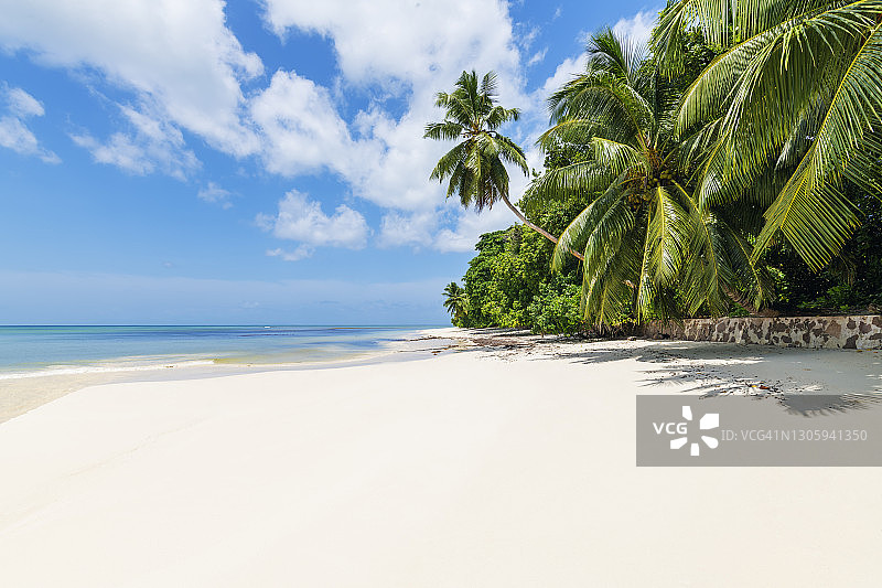 塞舌尔普拉兰岛Anse Lazio棕榈树沙滩图片素材