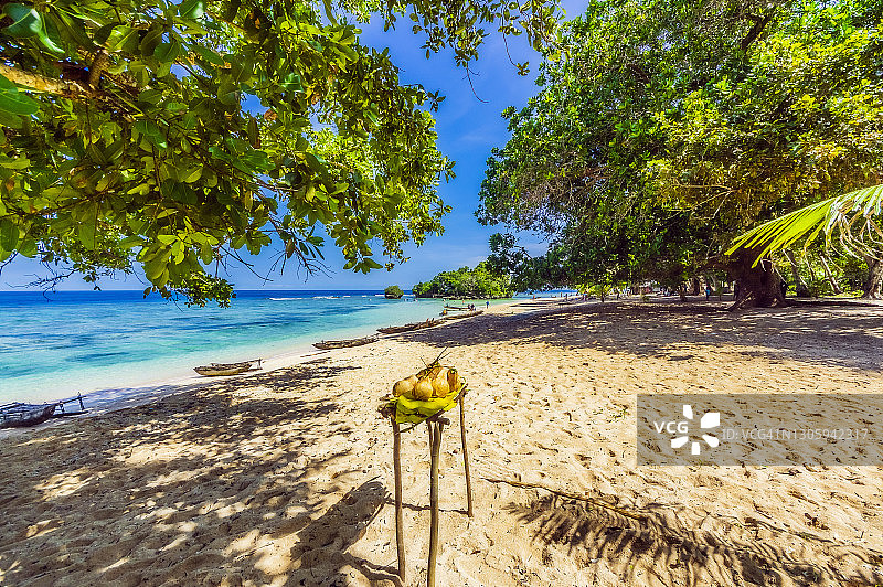 大洋洲巴布亚新几内亚特罗布里恩群岛基里维纳岛海滩水果图片素材