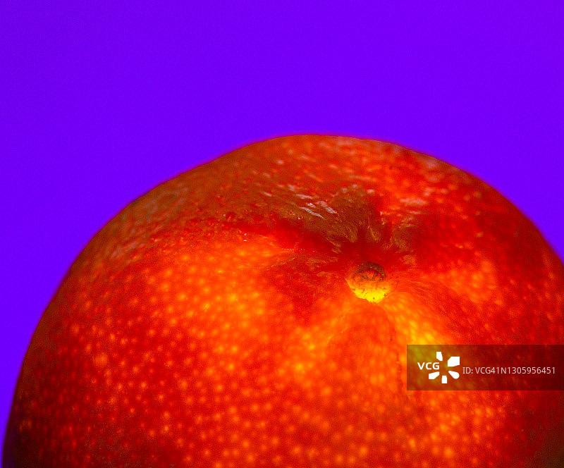 紫色背景上的鲜艳橙色橘子图片素材