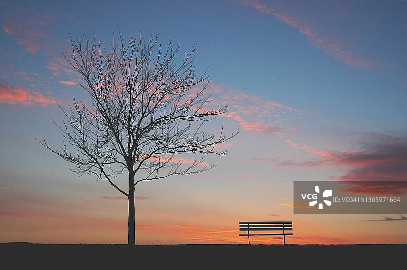 带树的公园长椅图片素材