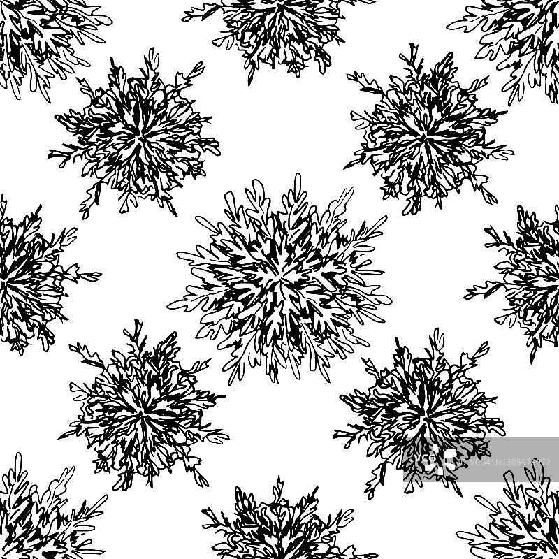 手绘植物无缝矢量图案：白色背景上的卷柏孢子，包装设计标签图片素材