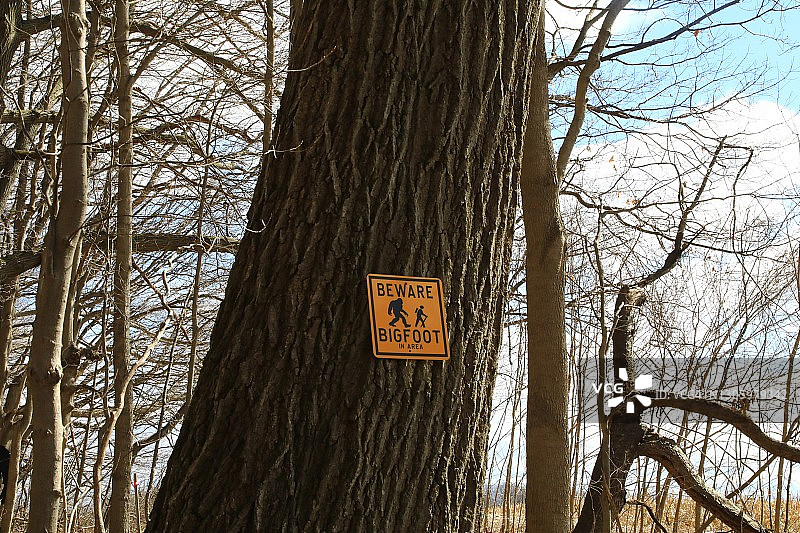 警告大脚怪出没的树木标志图片素材