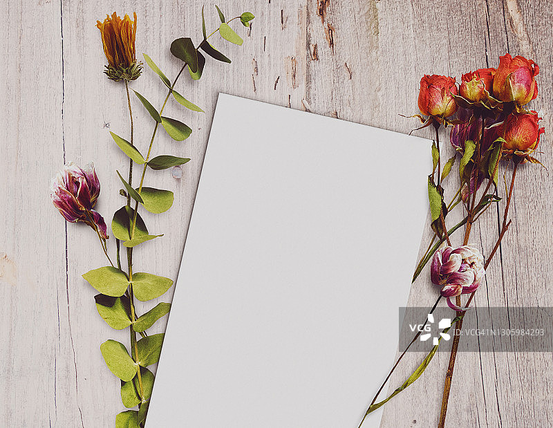 白色木质乡村表面上的空白纸张和干花俯视图，模型图片素材