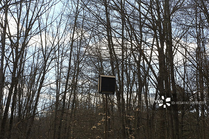 荒野中的蝙蝠巢图片素材