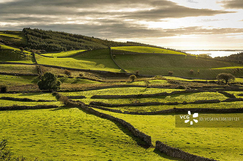 科里布湖畔的绿地，梅奥郡图片素材