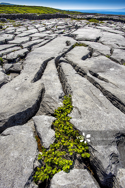 爱尔兰克莱尔郡的伯伦国家公园图片素材