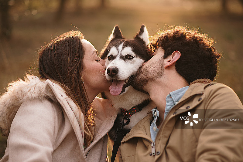 年轻情侣亲吻他们的哈士奇犬图片素材
