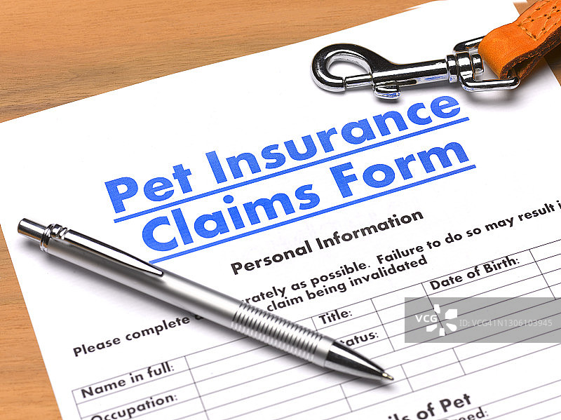 宠物保险索赔单图片素材