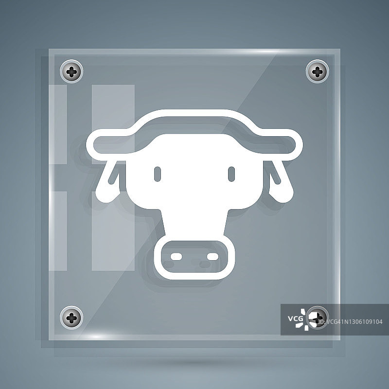 灰色背景上隔离的白色非洲水牛头图标。吉祥物，非洲稀树草原动物。带有融合角的野生牛、水牛或野牛。方形玻璃面板。矢量图片素材